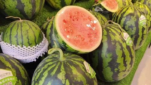 每日吃网瓜,尽享资讯盛宴