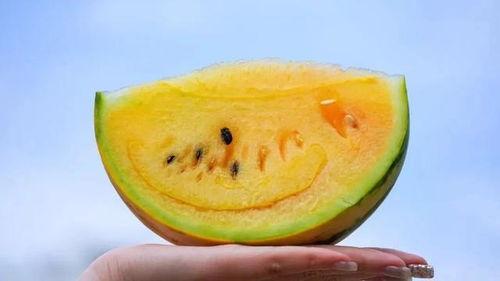 网曝吃瓜第5页,揭秘娱乐圈幕后真相